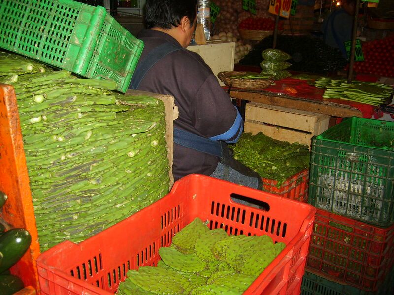 Файл:Nopal cacti in Merced.JPG