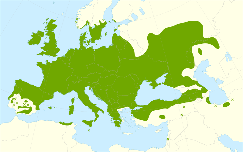 Файл:Prunus spinosa range.svg