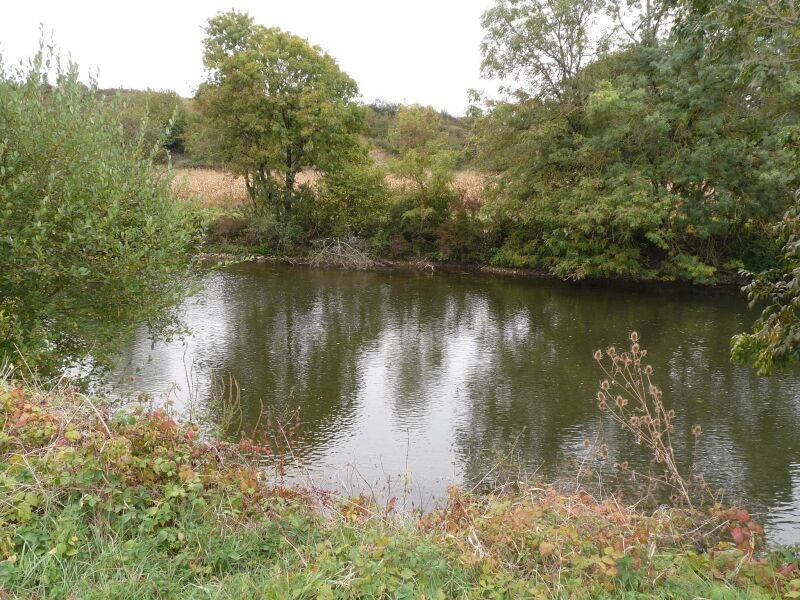 Файл:Taizea charente.JPG