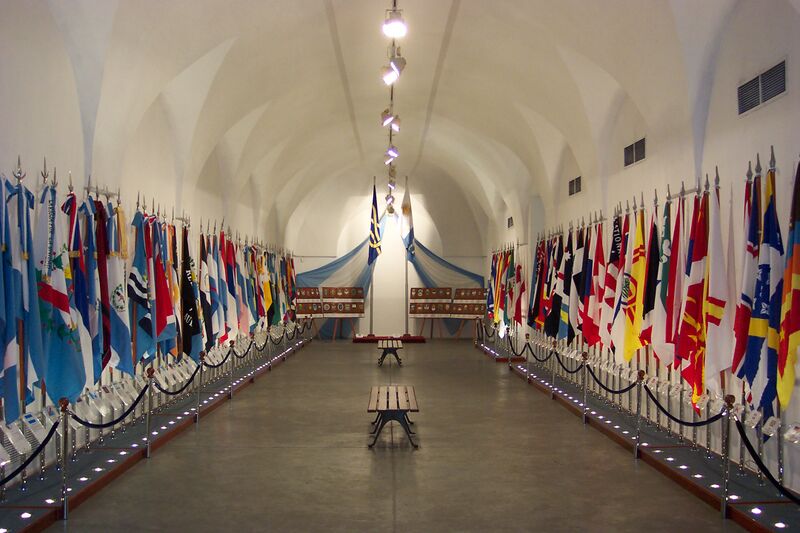 Файл:XXI ICV flag display.JPG