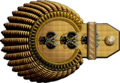 Эполет адмирала (1904—1917)