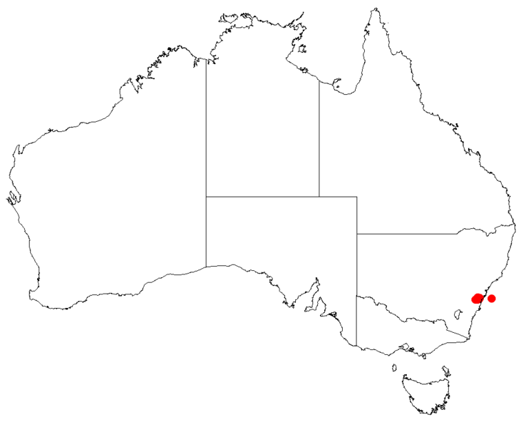 Файл:PersooniabargoensisDistMap9.png