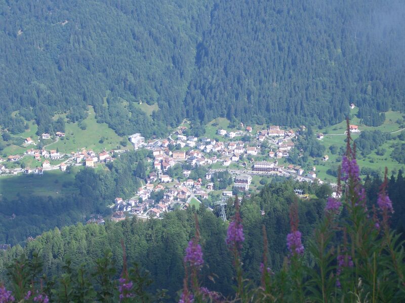 Файл:Ravascletto.jpg