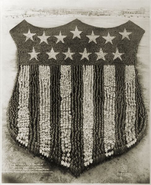 Файл:The Human U.S. Shield.jpg