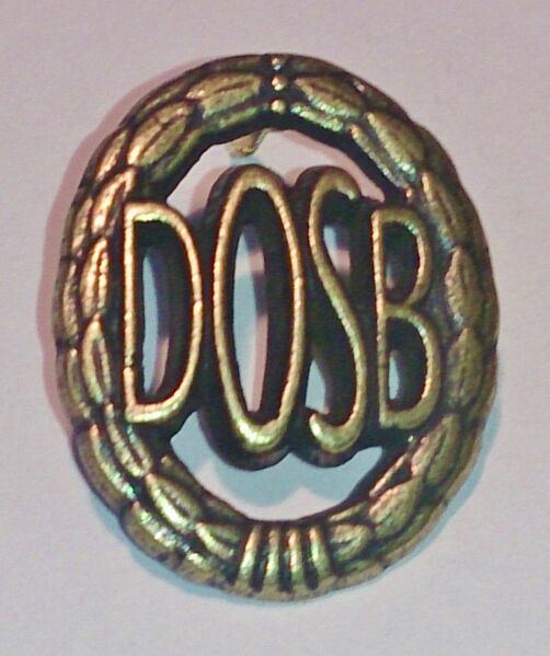 Файл:DSA bronze 1.JPG