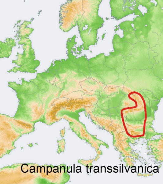 Файл:Distribution map Campanula transsilvanica.png