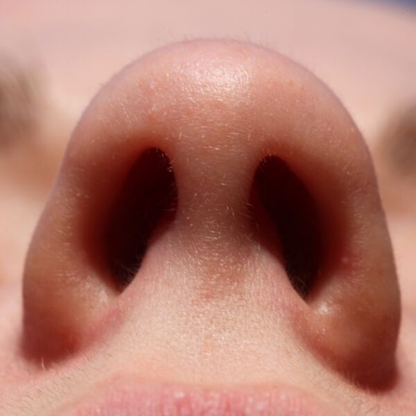 Файл:Human Nostrils 01.JPG