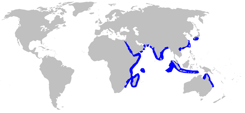 Файл:Loxodon macrorhinus distmap.png