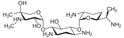Файл:Gentamicin C2.svg