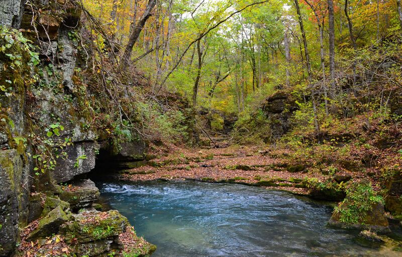 Файл:Greer Spring-Oct2013-067.jpg
