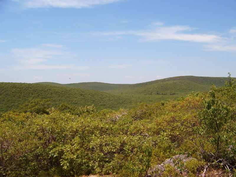 Файл:Highest Point here.JPG