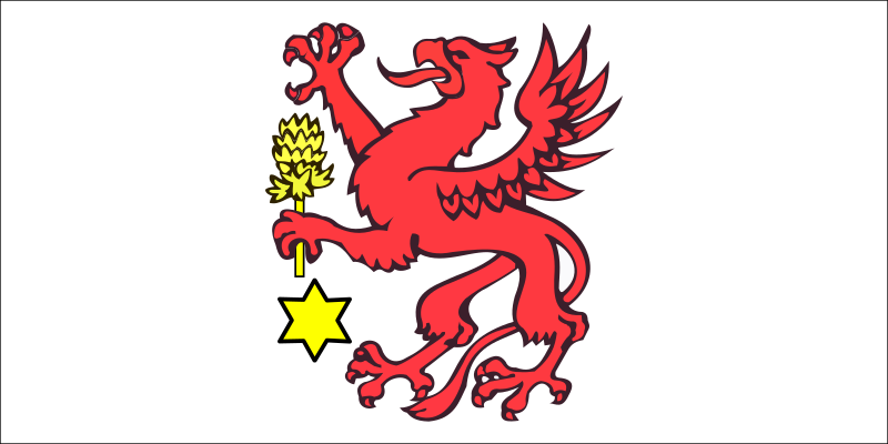 Файл:POL Wolin flag.svg