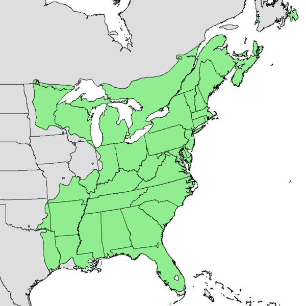 Файл:Acer rubrum range map.png