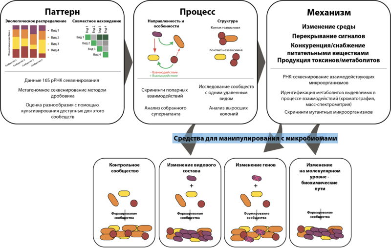 Файл:Interactions estimation.png