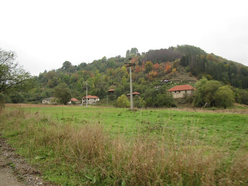 Файл:Musulj2.JPG