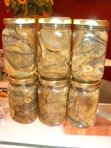 Файл:Rovellons conserva drets.jpg