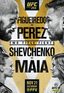Постер UFC 255: Фигейреду vs. Перес