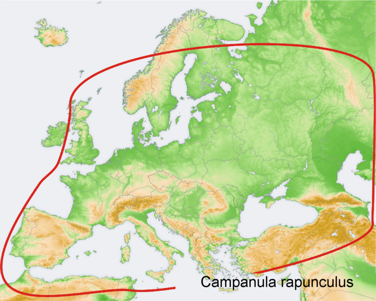Файл:Distribution map Campanula rapunculus.png