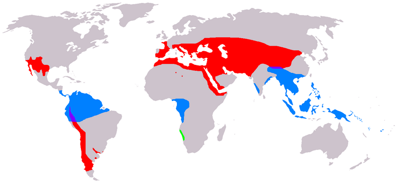 Файл:Gnetophyta distribution genera separate.PNG