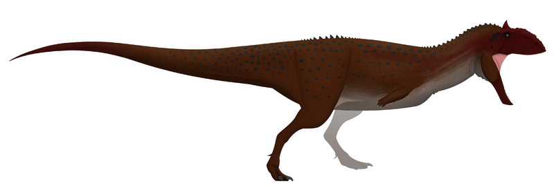 Файл:Majungasaurus size reference.png