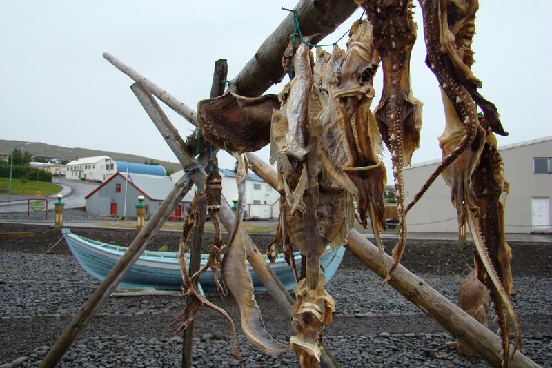 Файл:Poisson séché.JPG
