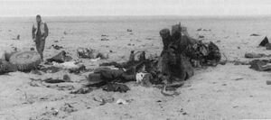 Разбросанные по большой площади обломки LAV-25, уничтоженного во время операции «Буря в пустыне» в результате «дружественного» огня — прямого попадания ПТУР «ТOW», выпущенной с другого LAV-25 и последующей детонации боекомплекта.