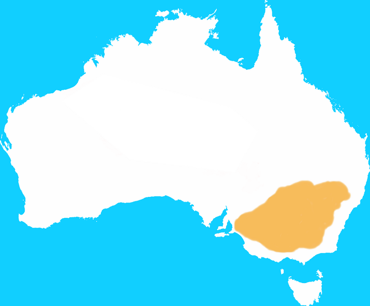 Файл:Eastern Hare Wallaby Distribution Map.png