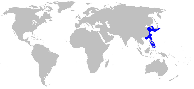 Файл:Halaelurus burgeri distmap.png
