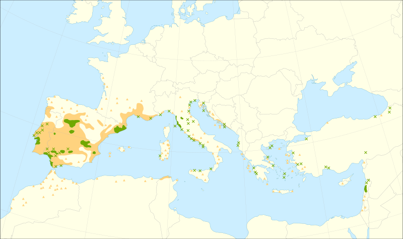 Файл:Pinus pinea range.svg