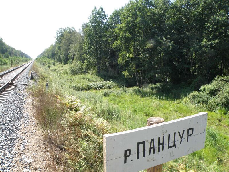 Файл:Pynsur bridge.JPG