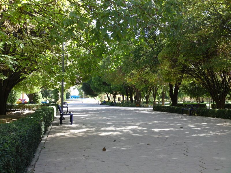Файл:DSC5665.JPG