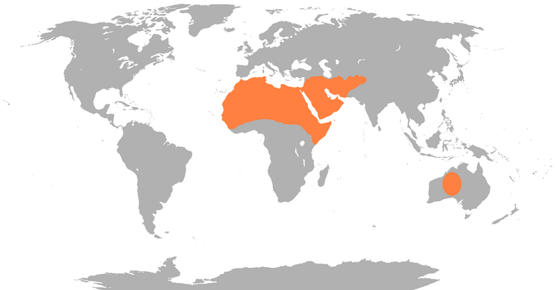 Файл:Dromedary Range.png