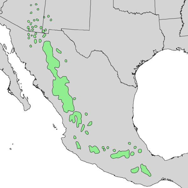 Файл:Pinus leiophylla range map 2.png
