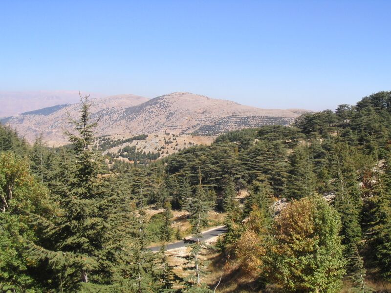 Файл:Barouk Mountain.JPG