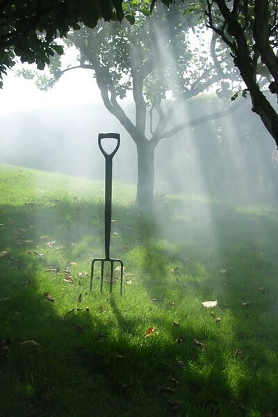Файл:Crepuscular rays fork.jpg