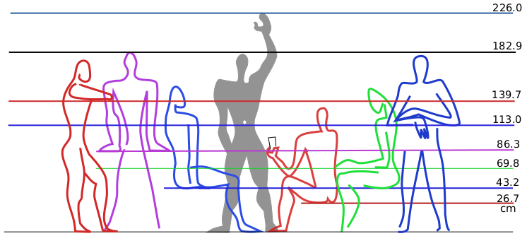 Файл:Modulor measurements.svg