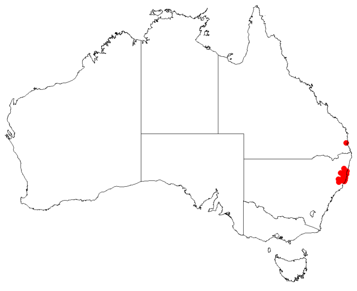 Файл:PersooniaconjunctaDistMap17.png