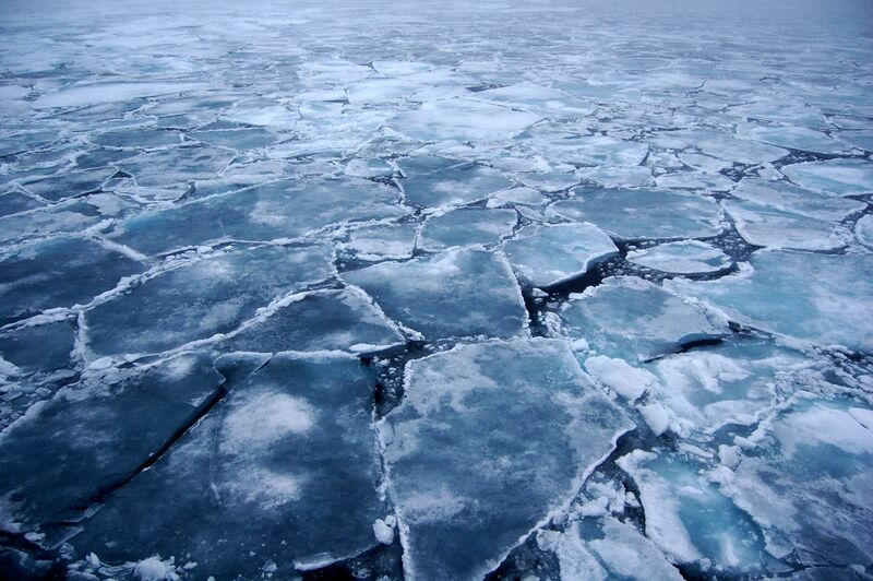 Файл:Arctic Ice 2.JPG