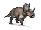 Centrosaurus apertus
