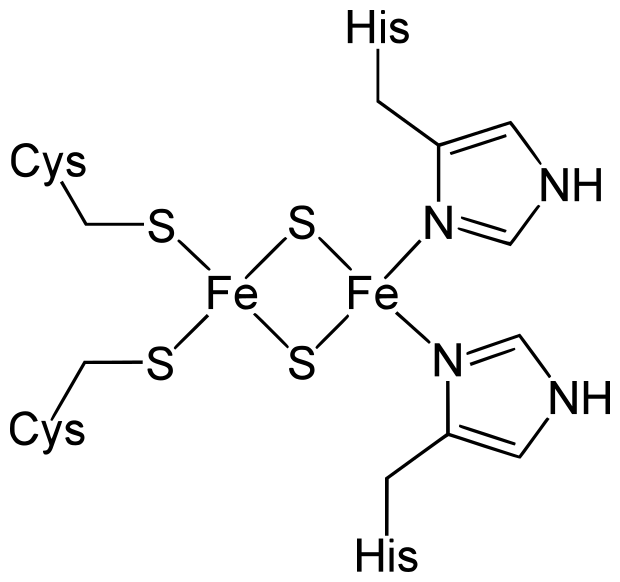 Файл:Rieske Fe2S2.svg