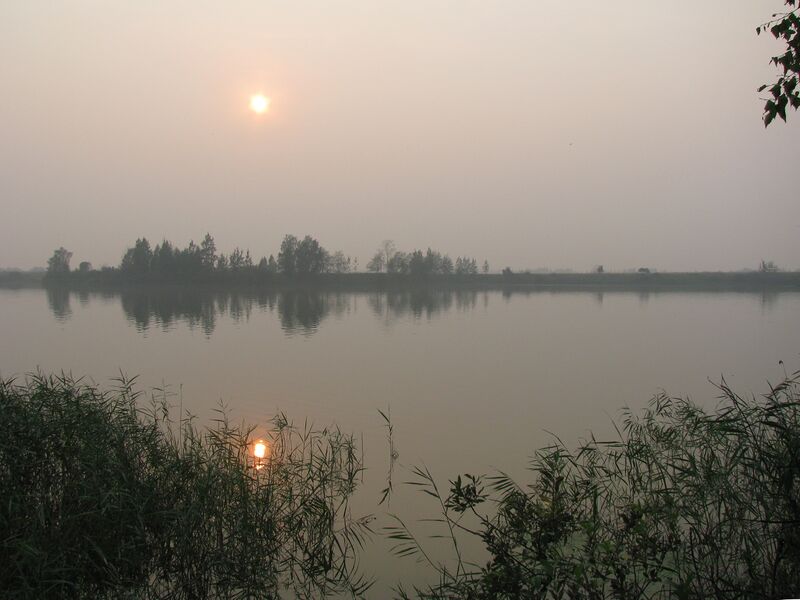Файл:Shachebol.JPG