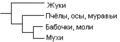 Миниатюра для версии от 03:37, 1 октября 2023
