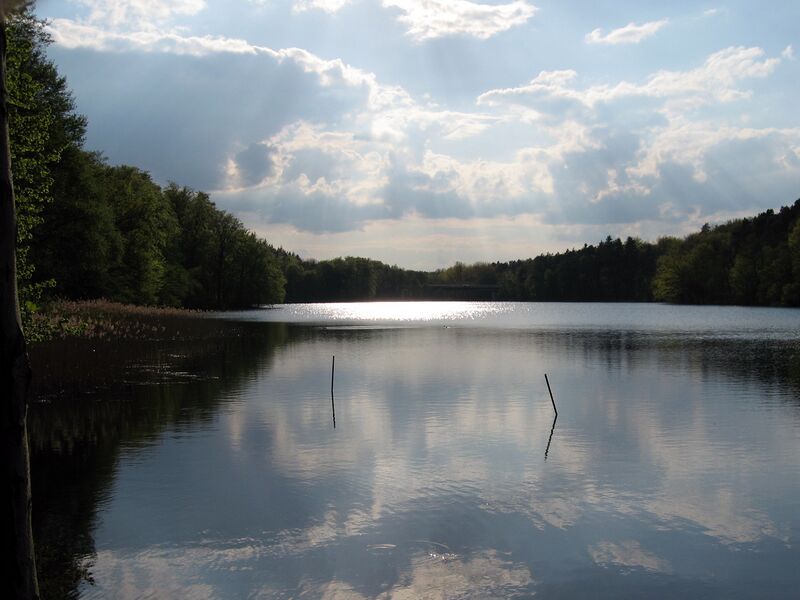 Файл:Lanke Obersee 01.jpg