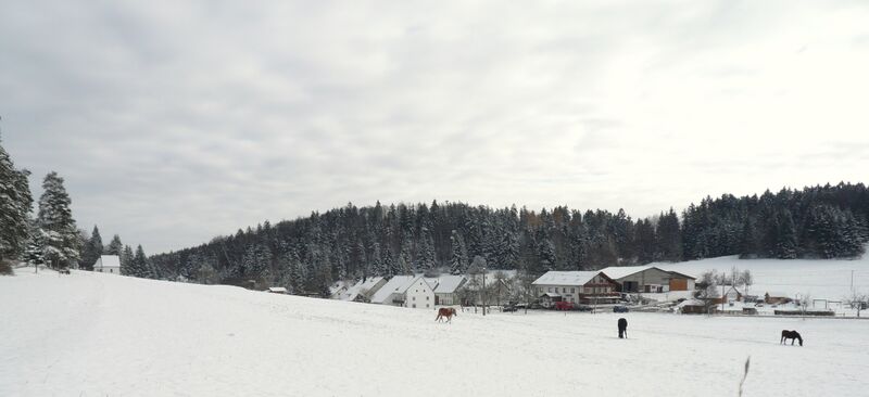 Файл:Risiberg.jpg