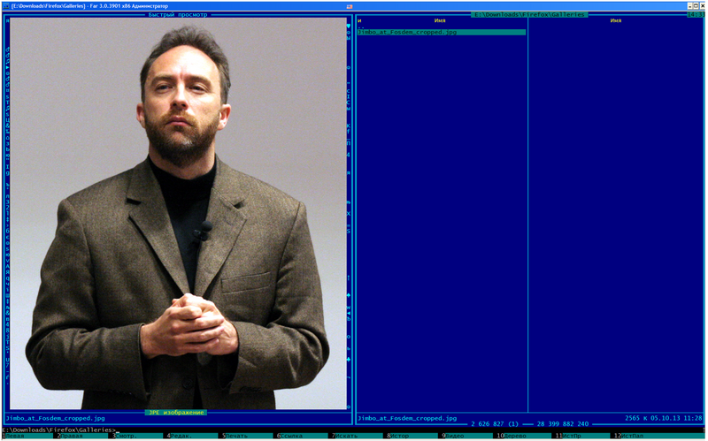 Файл:Far Manager Multimedia Viewer.png