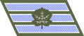 Нарукавный знак сухопутных войск ЦАХАЛ.