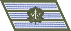 Файл:IDF Ranks Samar.svg