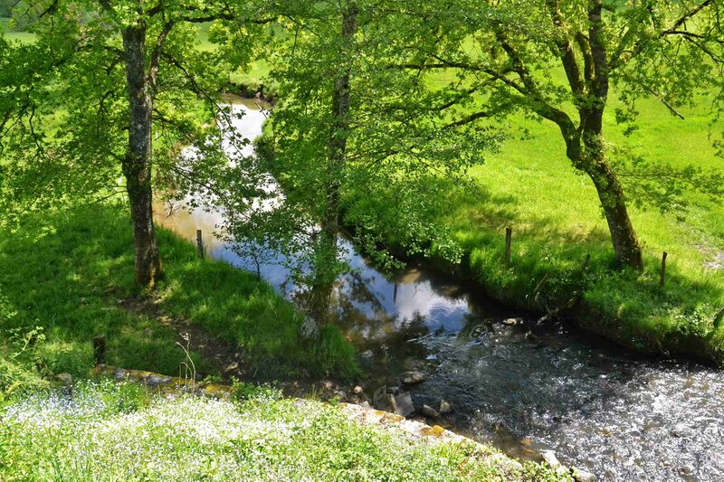 Файл:Le Rujoux à Chamboulive.JPG