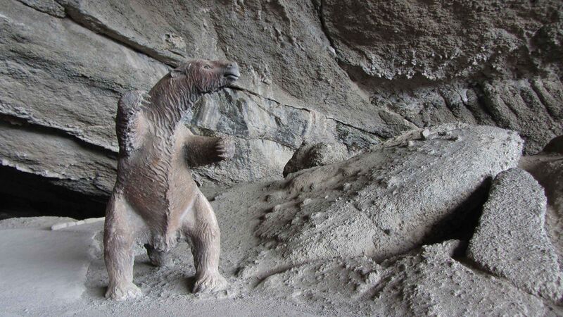 Файл:Milodon.JPG