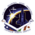 STS-100